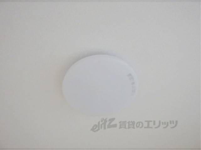 照明