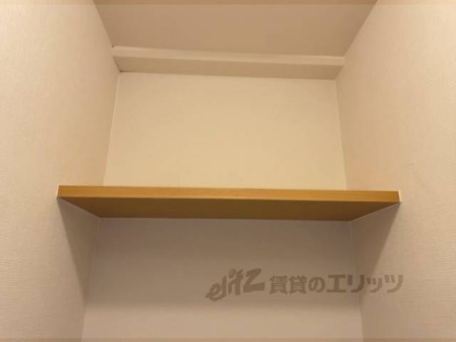 棚