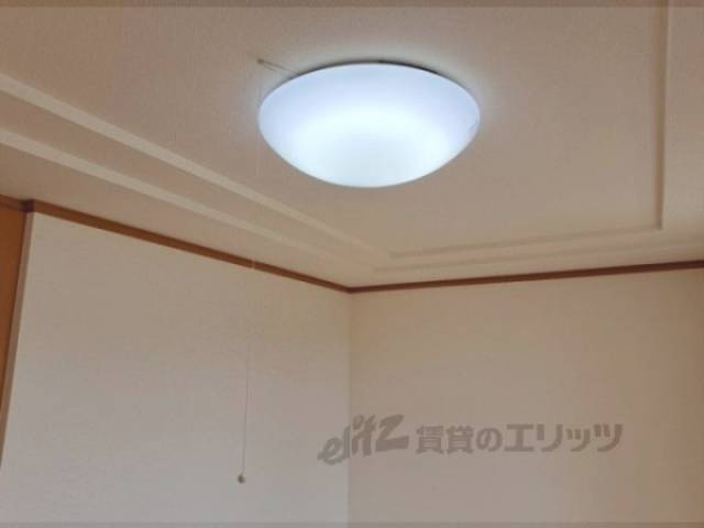 照明