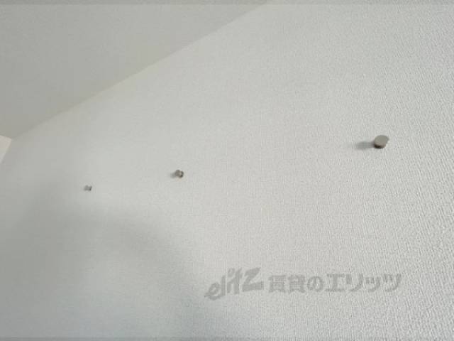 フック