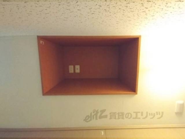 棚