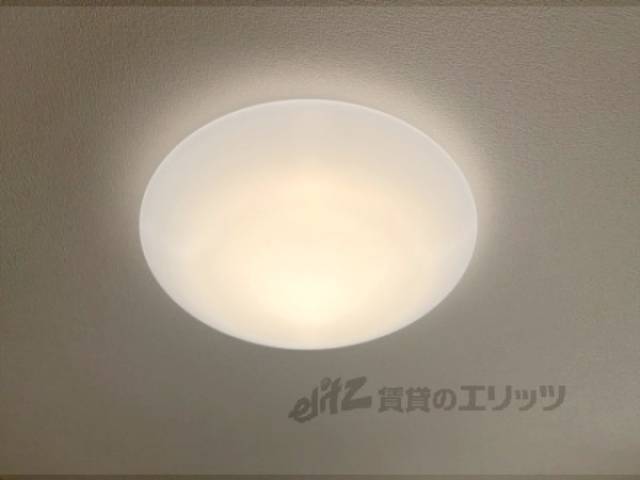 照明