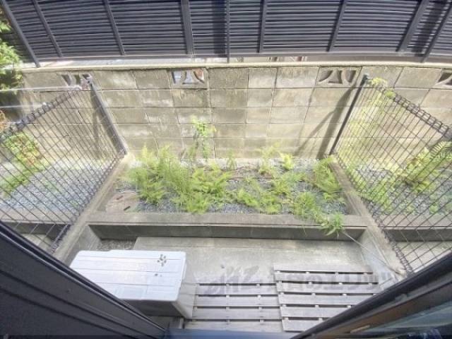 庭