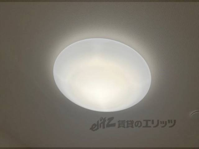 照明