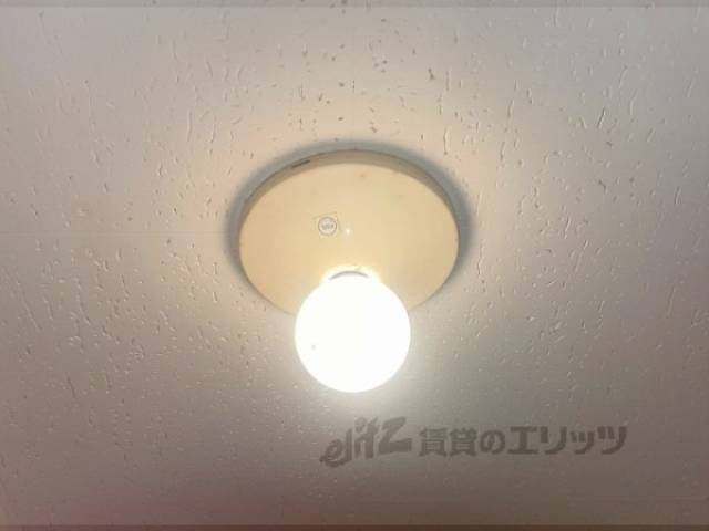 照明