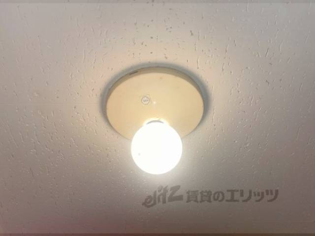 照明
