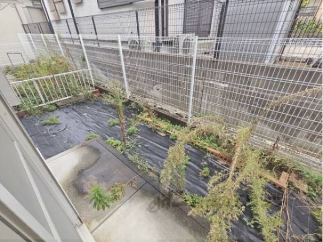 庭