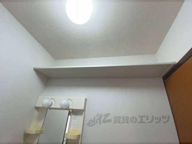 棚