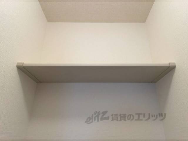棚