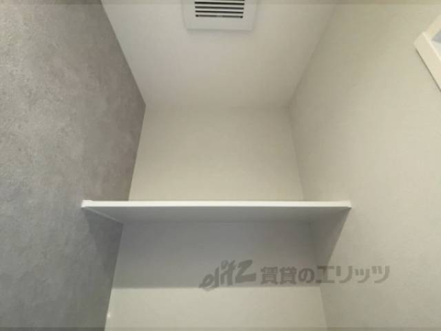 棚