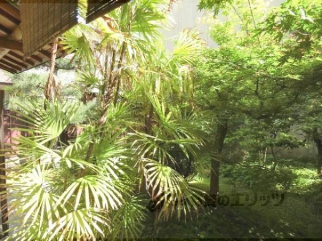 庭