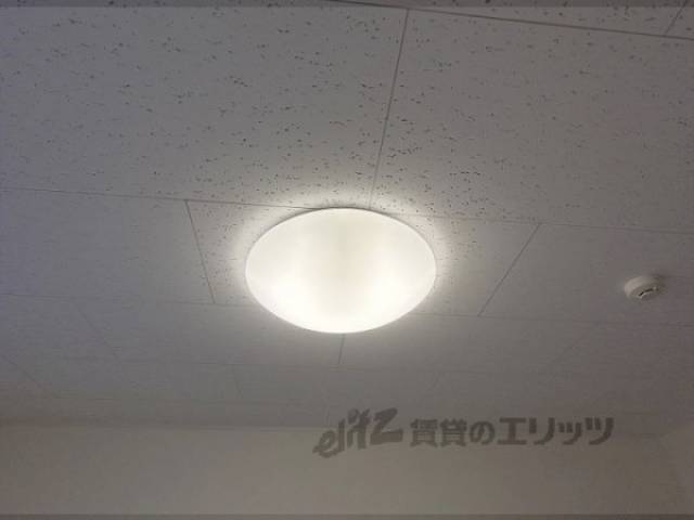 洋室　照明