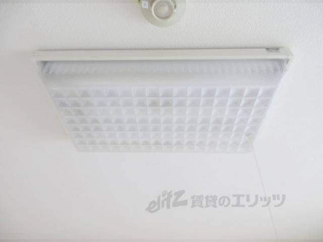 電灯