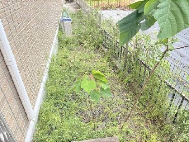 庭
