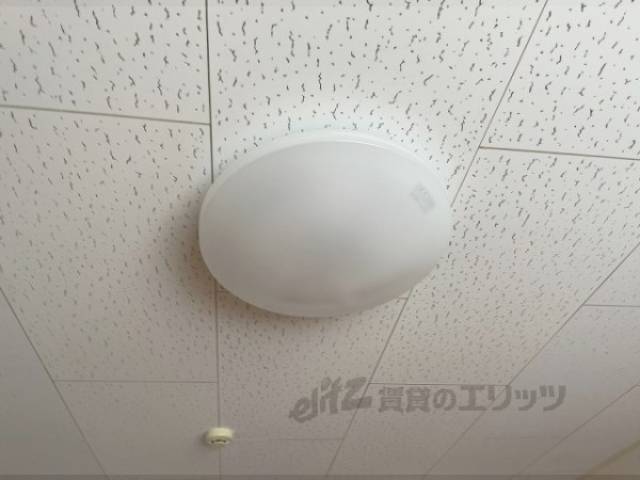 照明
