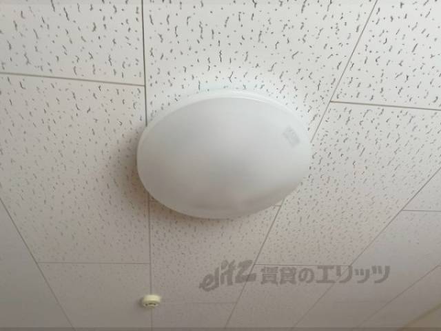 照明