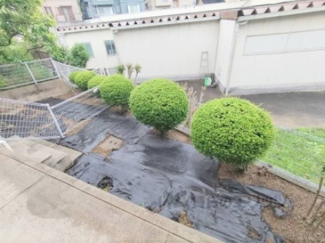 庭