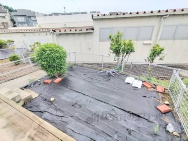 庭