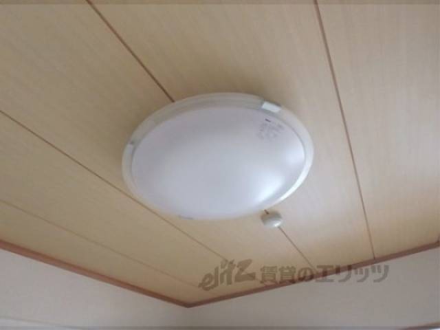 照明