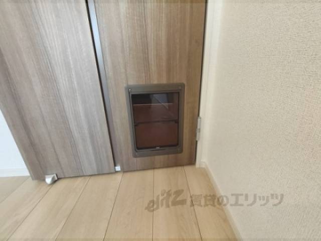 ぺットドア　ネコちゃんワンちゃん出入りできます