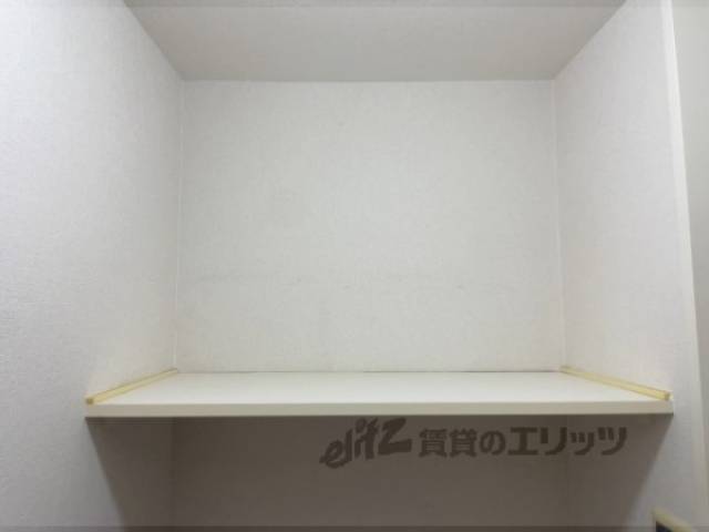 棚
