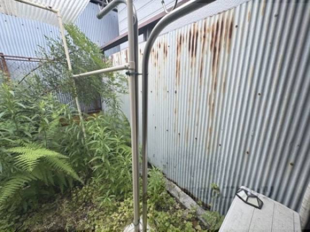庭