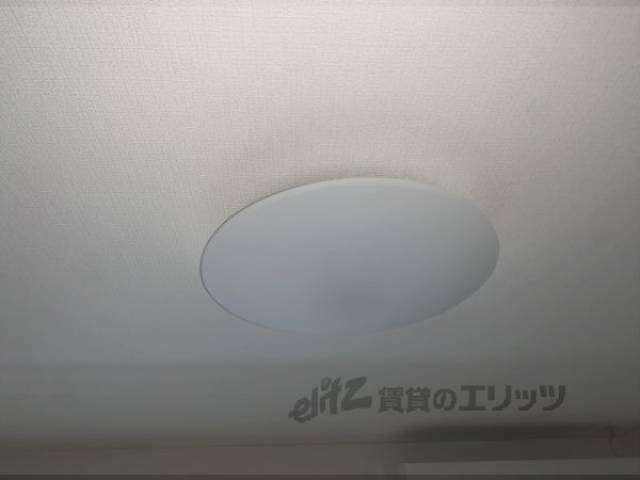 照明