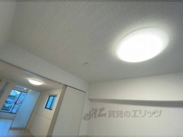 照明