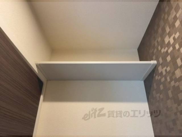棚