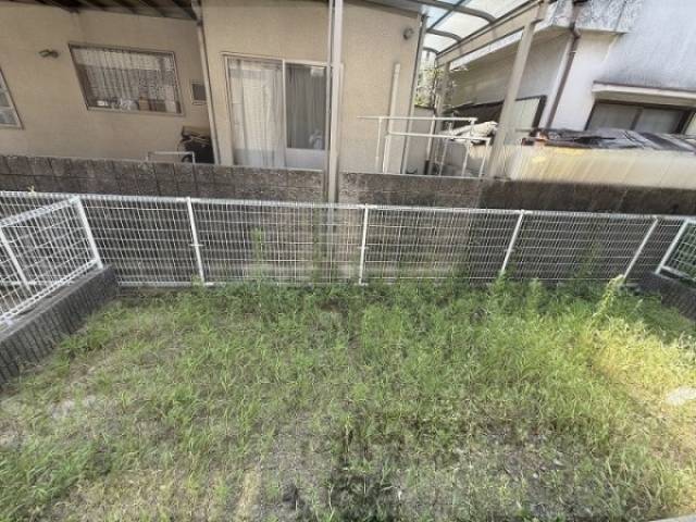 庭