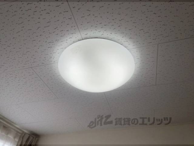 照明