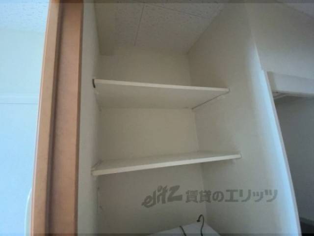 棚