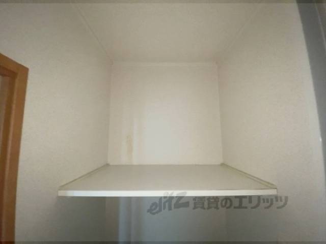 棚