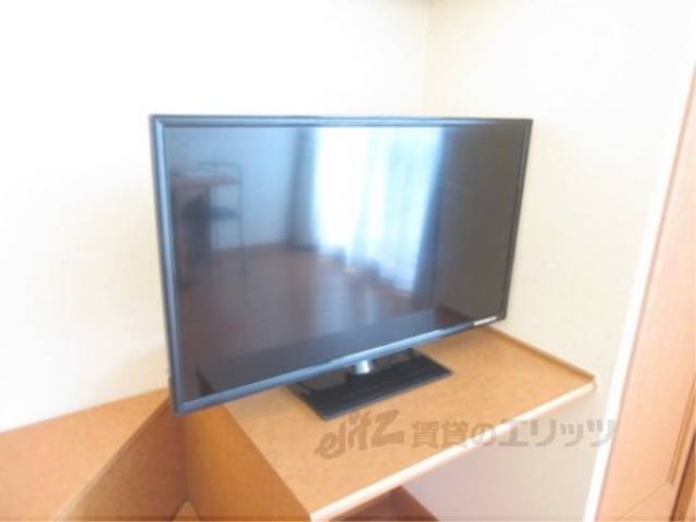 テレビ