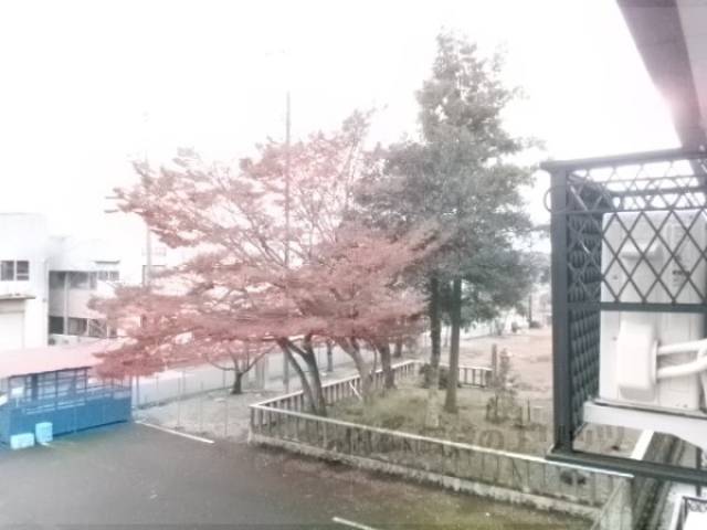 ベランダ　物干しのみ