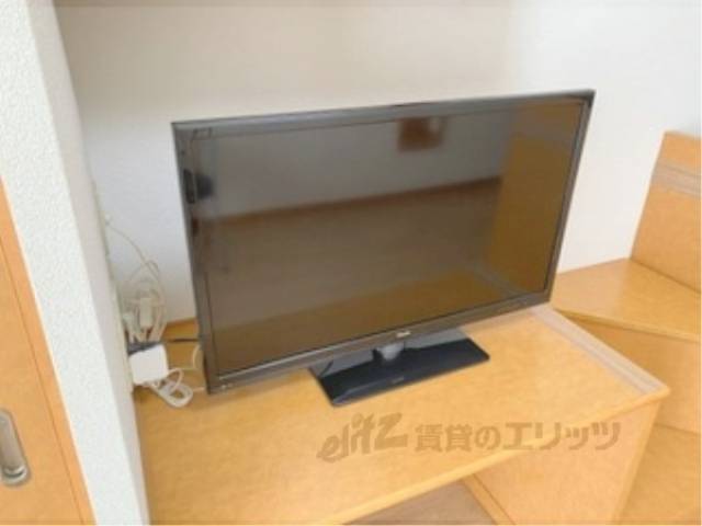 テレビ