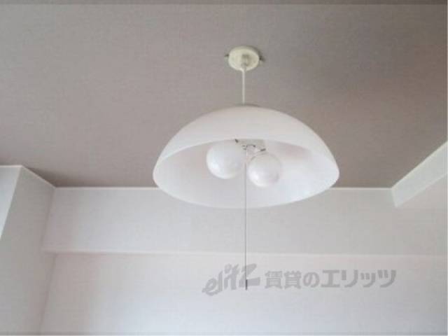照明
