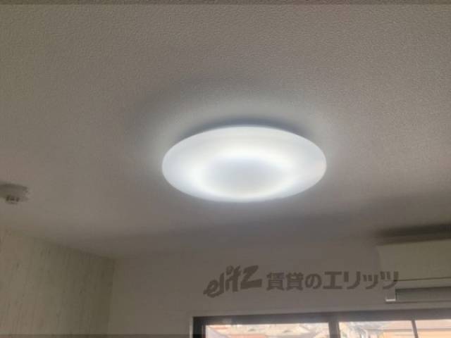 照明
