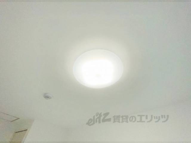照明