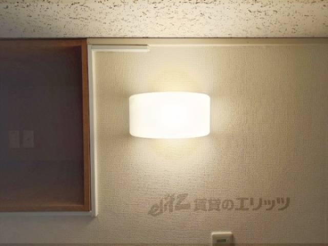 照明
