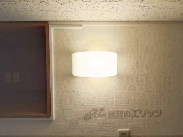 照明