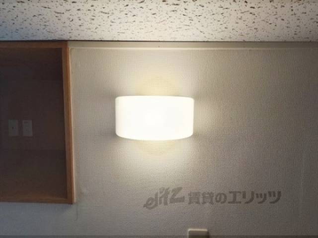 照明
