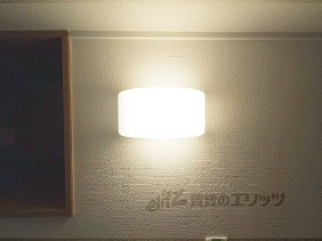照明