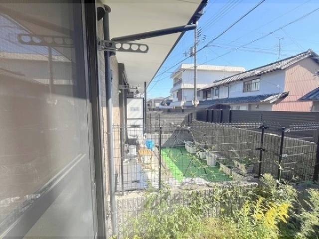 庭