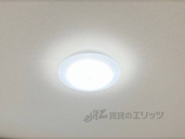 照明