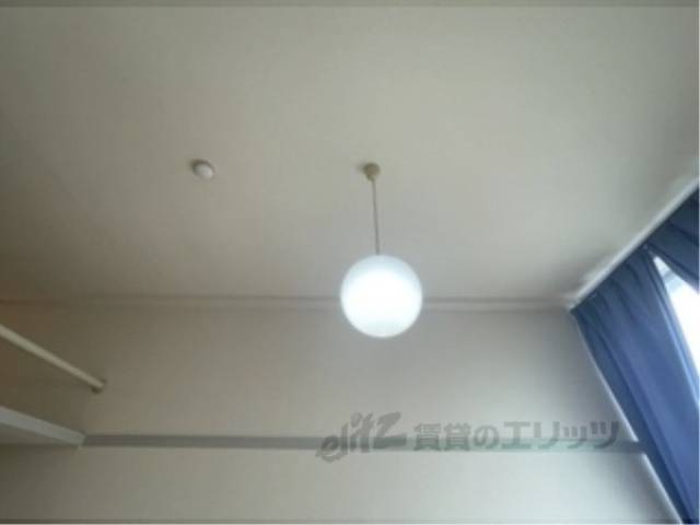 照明