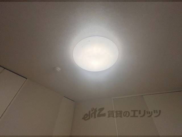 照明
