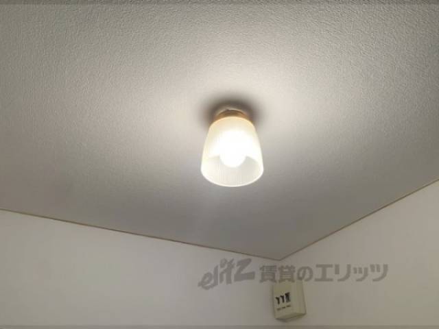 照明