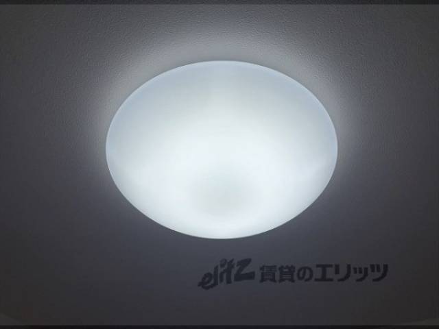 照明