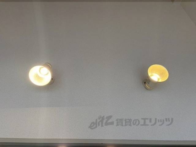 照明